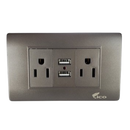 Lico Lux Toma Corriente Doble Gris + 2 USB (UNIDAD)