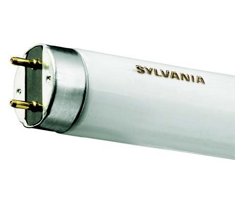 Tubo Fluorescente Sylvania T8-17Wx24 (UNIDAD)