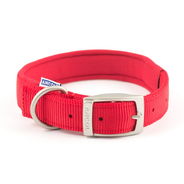 Collar Nylon para Perro Grande Senc. (UNIDAD)