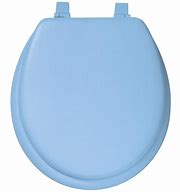 Tapa para Inodoro plastica Azul Ez-Flo 65922 (UNIDAD)