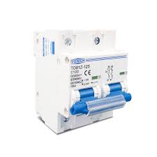 Breaker Industrial 100A 2P 600V (UNIDAD)