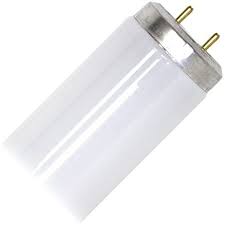 Tubo Fluorecente Phillips T12-96Wx48 (UNIDAD)